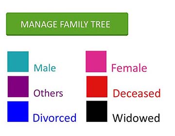 Islamic Family Tree Maker